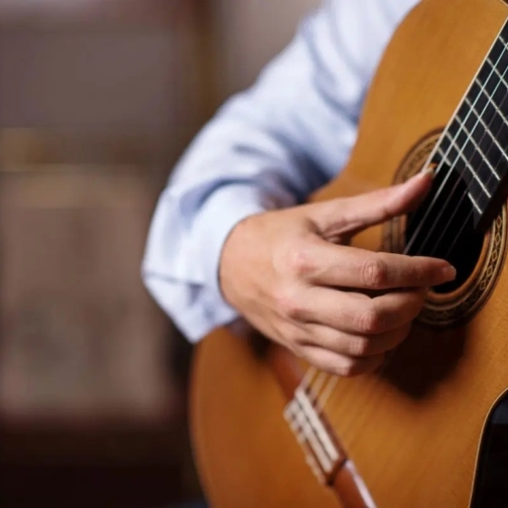 Classical Guitarist David Delavari